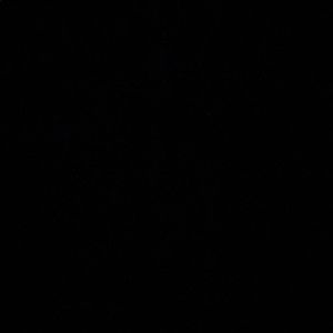 Meet your Posher, Peter